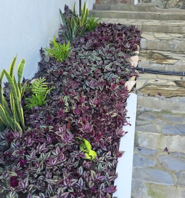 Jardinera escalera 2