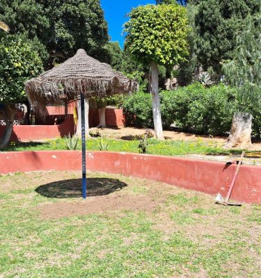 Repoblacion de cesped